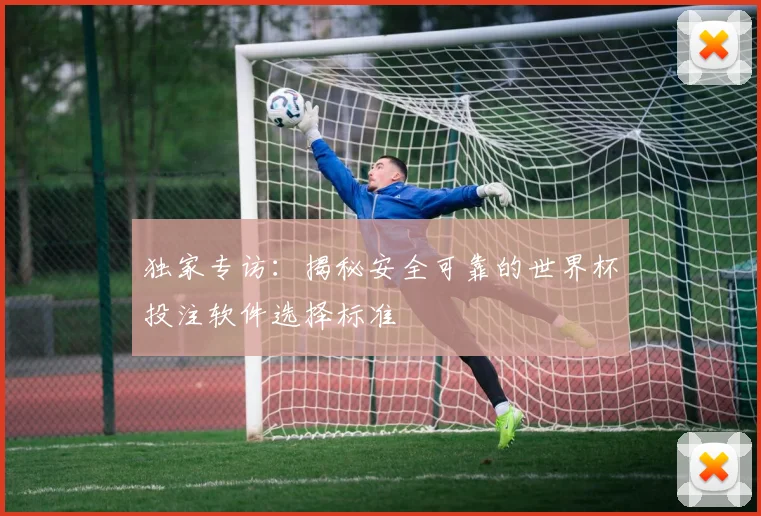 独家专访：揭秘安全可靠的世界杯投注软件选择标准